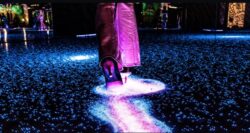 Museo WDRN San Diego