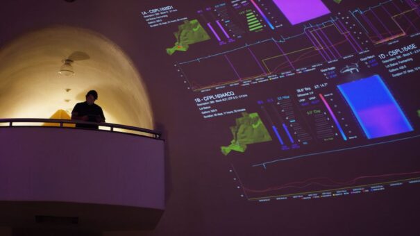 Christie Palmaz Vineyards