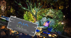 AJA Fido con PaintScaping