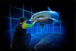 Hologram Zoo Axiom Holographics