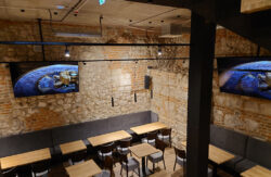 Sony en Drevny Kocur