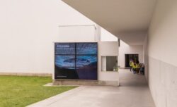 Edigma Fundacion Serralves