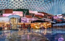 Smart Monkeys Isaac disguise