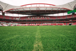 db audio en estadio da luz