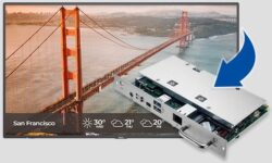 Sharp NEC y SpinetiX