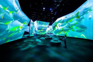 Hive BBC Earth Melbourne