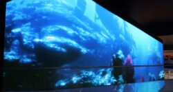 Blue Rhine Industries Acuario Dubai INFiLED