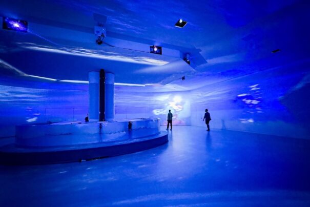 Rhyality inmersive art hall WSDG Holophonix