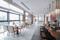 Gaplasa Bluesound BCS300