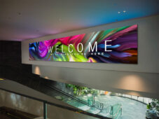 Peerless-AV DS-LEDUNV 1.1