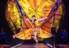 Circo del Sol y Epson