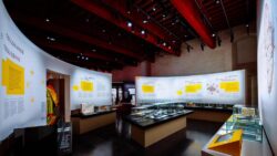 Prolights Cataros Toulouse