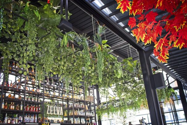 Zelva Rooftop Bose Pro