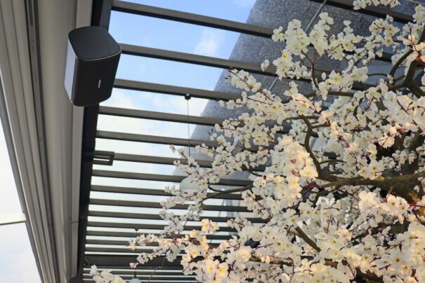 Zelva Rooftop Bose Pro