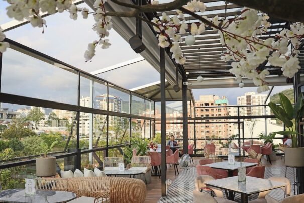 Zelva Rooftop Bose Pro