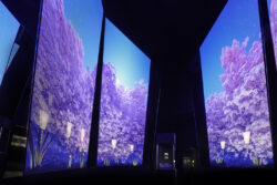 Brompton y ROE en Tiffany Wonder Tokio