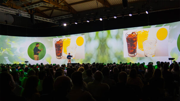 Europalco en Super Bock 2024