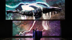 Modulo Pi en opera Zarqa Al Yamama (Foto: Viviana Cangialosi / Compagnia Finzi Pasca)