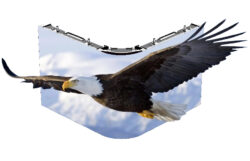 Traulux by Charmex T-Rent VR