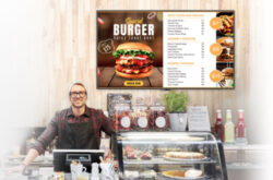 Vivitek NovoDS DS110