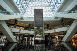 Max Center Wild Jungle Trison Necsum