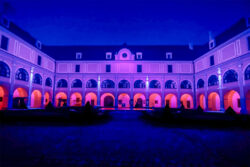 Anolis en Castillo Zerotin