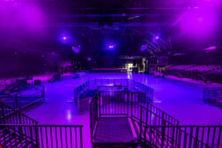 Anolis et Pabellon Hordern