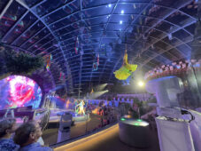 Robe Sun Princess Matt DeJong