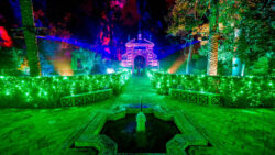 Naturaleza encendida2024 Alcazar Sevilla