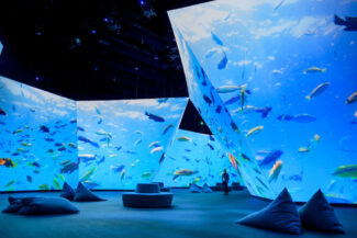 Hive Museo BBC Earth