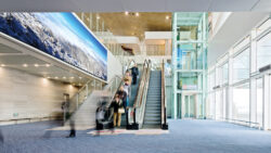 Peerless-AV Seamless dvLed