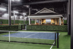 The Painted Pickle Snap One ADI