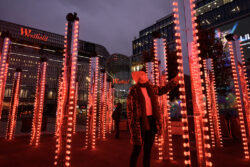 Martin Audio y TiMax en Westfield London