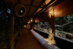 Mandai Wildlife Safari Martin Lighting