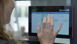 Blue Style CUE AVIT Vision