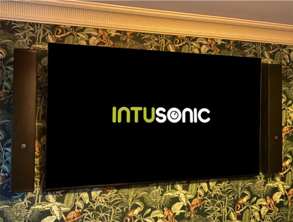Intusonic 4VM100T