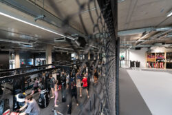 Optimal Audio Bloodline Gym