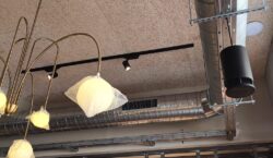 Sonimalaga Spottune SeeSound