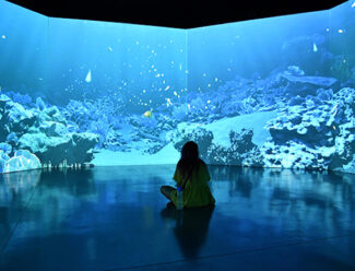 Mediapro Exhibitions Zoo Barcelona Cuida-ls