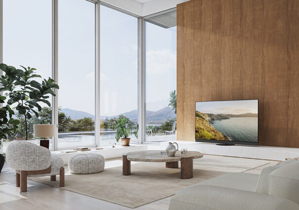 Panasonic 65Z95B PC EB EG EK GZ