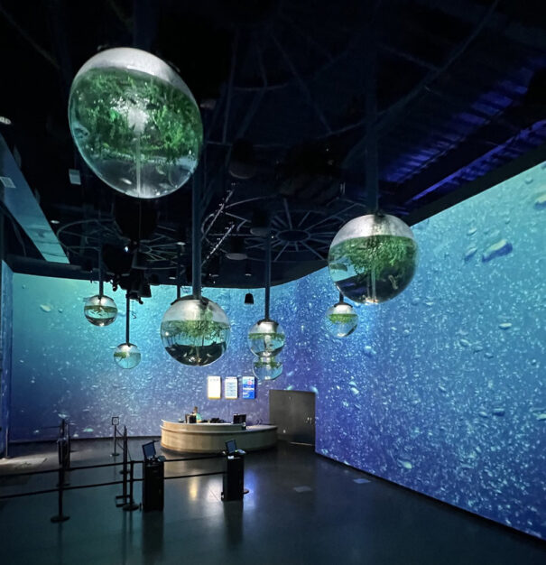 Christie en acuario OdySea