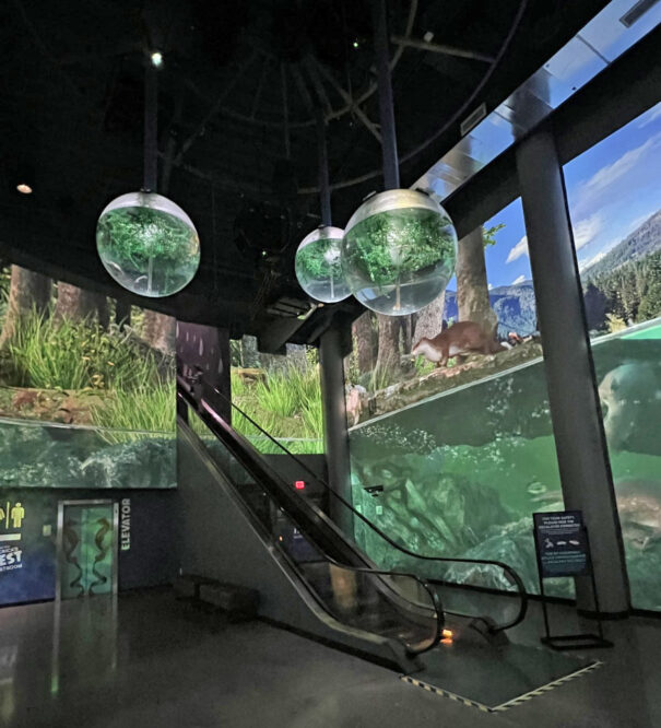 Christie en acuario OdySea