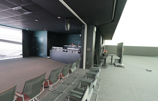 Sony en grupo Stellantis