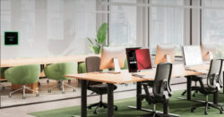 AVIT Vision Biamp Workplace