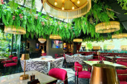 Martin Audio en Coco Dubai