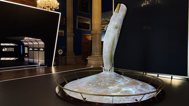 Modulo Pi en Instituto Oceanografico Monaco