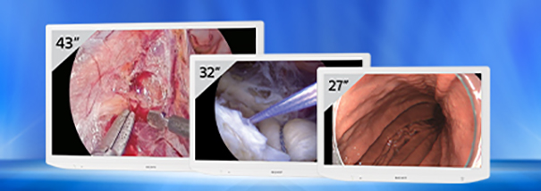 Sony monitores medicos LMD