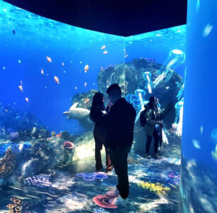 Skyluft Christie en Kia E-Ground