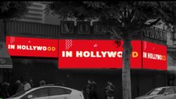 Museo Vogue SNA Displays