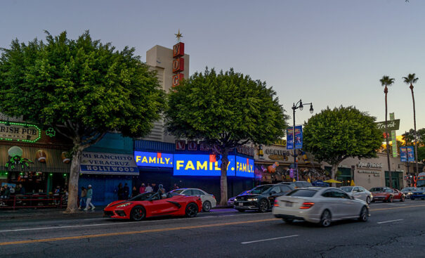 Museo Vogue SNA Displays